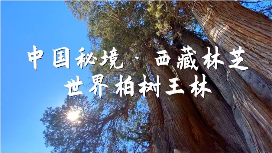 老旧的停车场3